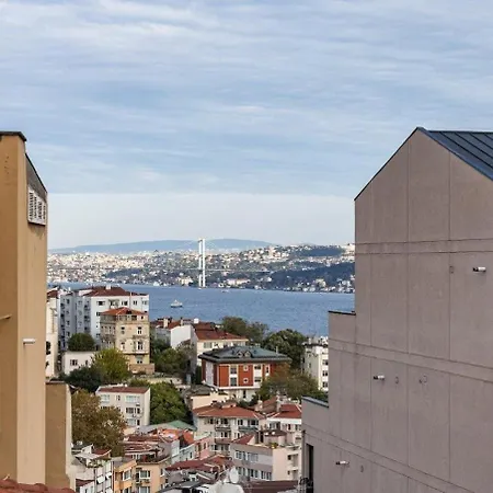 Apartment Duplex Penthouse Wparking 3bd2bath Views! #340 Istanbul